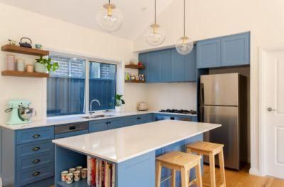 Navy Blue Design Shaker Australia Safe and Comfortable Beautiful Home Furniture Wholesale Kitchen Cabinets