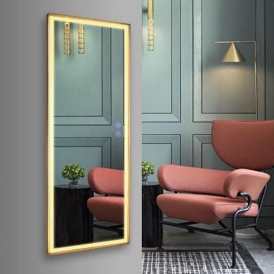 Standing Light Dressing up Luxury Interior Home Decor Wall Mirror