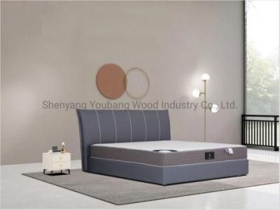 Luxury High Quality King Size Beds Livingroom Furniture Bed Pocket Coil Spring