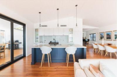 Australia Design High Quality Adjustable Shelf Shaker Lacquer MDF Door Quartz Benchtop Mobile Home Kitchen Cabinets