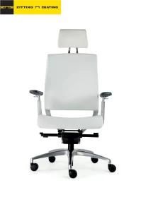 Clever Design Ergonomic Office Home Furniture Chair with Armrest