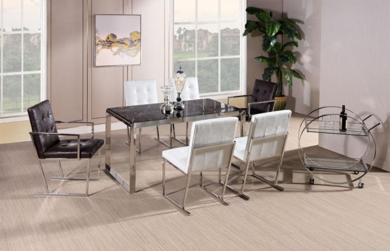 European Home Furniture Stainless Steel Dining Table and Chair Set