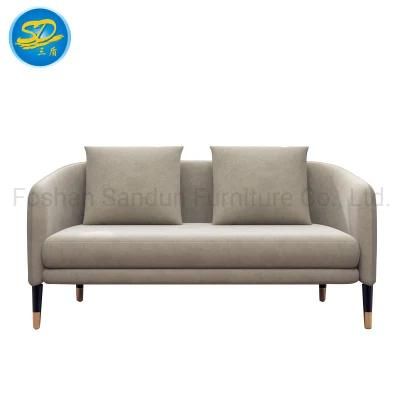 Customization Size Accepted Modern Leisure Sofa Living Room Bedroom Furniture