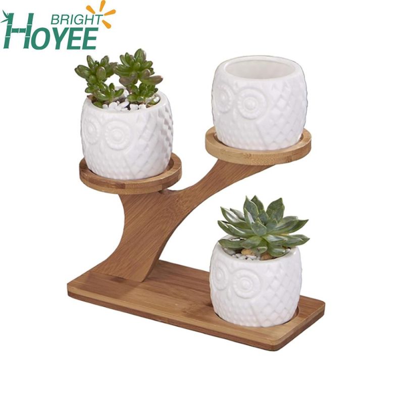Decorative Small Owl Succulent Cactus Flower Plant Pot with Tree Tier Bamboo Stand