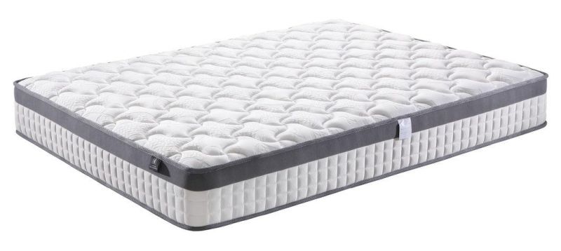 Modern Furniture Pure White Design Hot Sell in 2019 Tight Top Rolled Pocket Spring Mattress