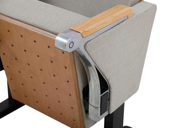 VIP Church Auditorium Hall Conference Lecture Cinema Movie Chair