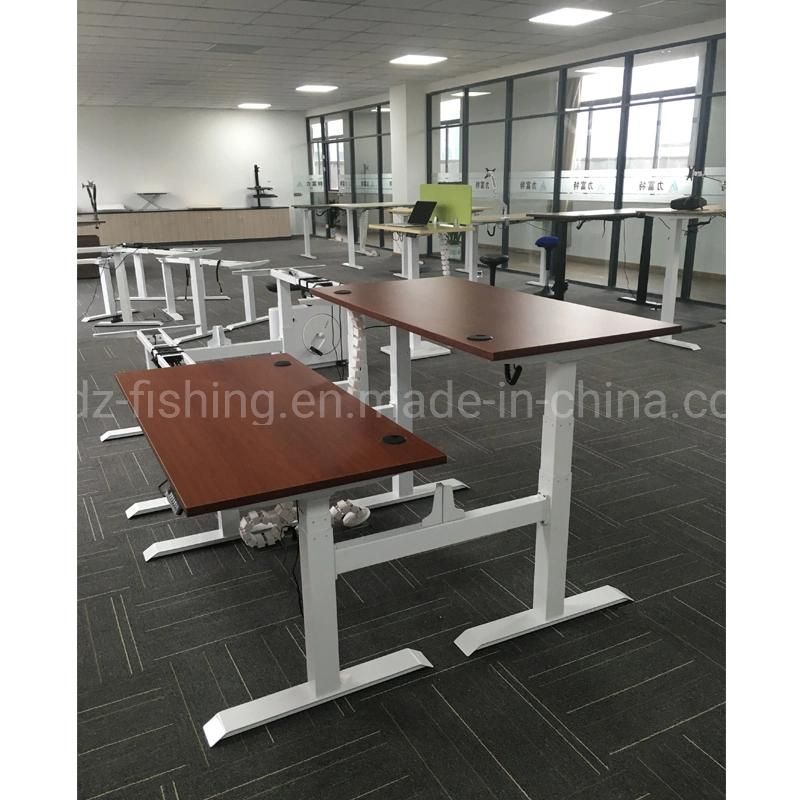 Executive Office Moden Desk Electric Height Adjustable Computer Desk