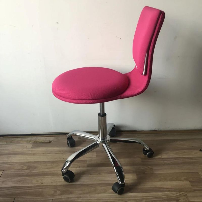 Leisure Elegant Swivel Adjustable Replaceable Office Chair
