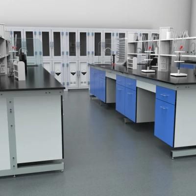 Cheap Factory Prices Bio Steel Lab Furniture with Absorbent Paper, Hot Selling Physical Steel Epoxy Resin Lab Bench