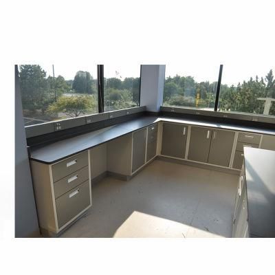 Pharmaceutical Factory Wood and Steel Chemic Lab Bench, Biological Wood and Steel School Lab Furniture/