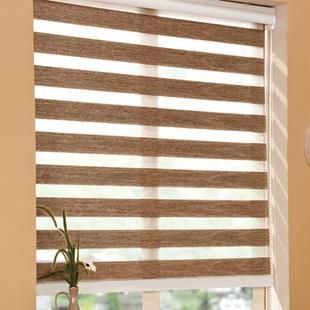 Blackout Plain Design Double Layer Zebra Blind/ Roller Blind