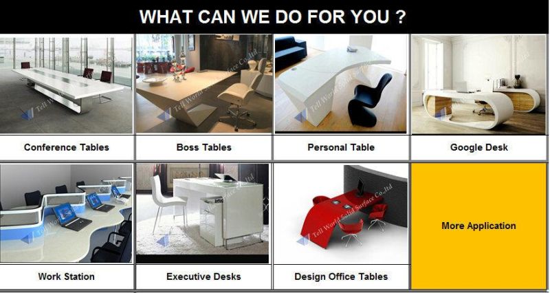 New Office Desk Design Fancy Executive Office Desk (TW-010)