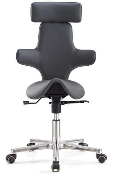 New Design Ergonomic Saddle Stool Office Chair with High Backrest