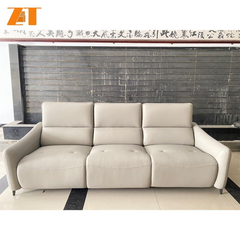 Modern Contemporary Home Furniture Customizable Genuine Leather Sofa