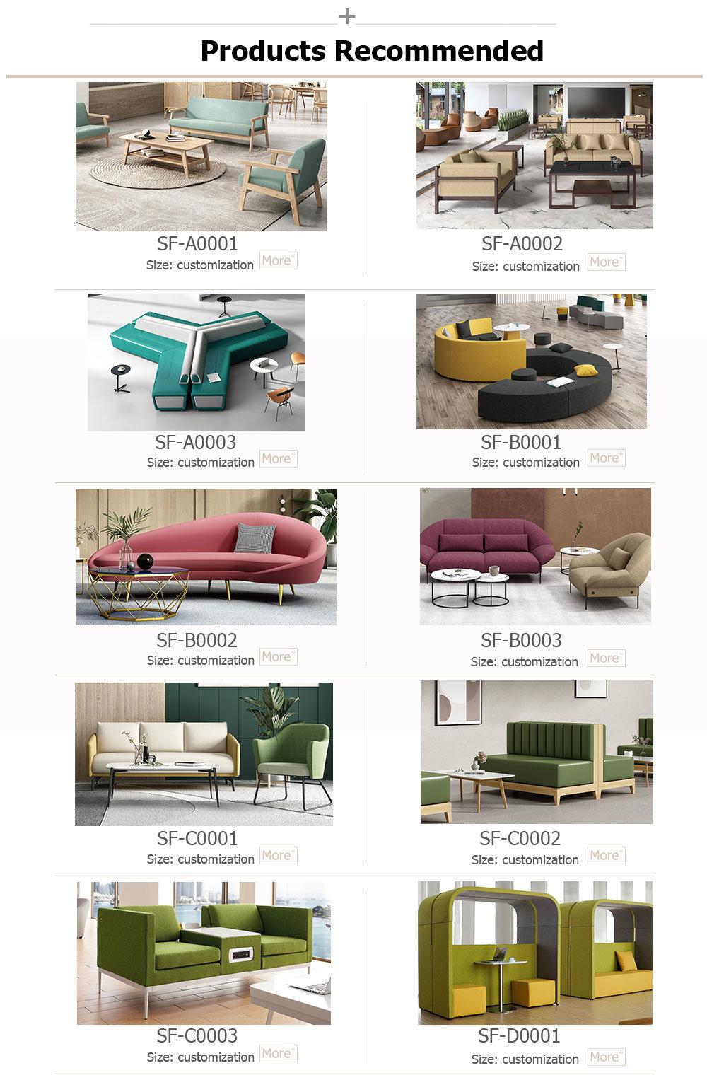 Contemporary Postmodern Sofa Furniture
