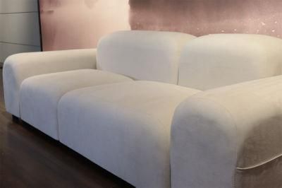 Nordic Style Fleece Sofas Sherpa Art Sense of Curve Design Comfortable Living Room Foam Hotel Sectional Sofa Lazy Sofa for Home