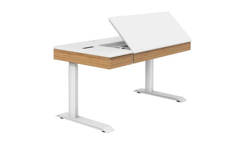 Modern Design 40mm/S Speed Standing Chuying-Series Kids Desk with High Quality