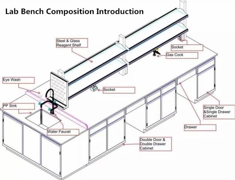 Physical Steel Lab Furniture with Reagent Shelf, Bio Steel Epoxy Resin Lab Bench/