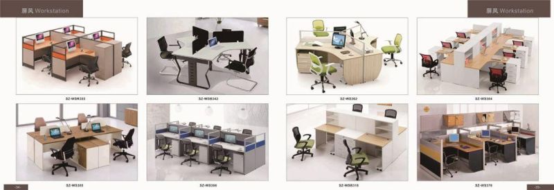 Hotsale Workstation China Manufacturer Modular Office Call Center Partition (SZ-WS317)