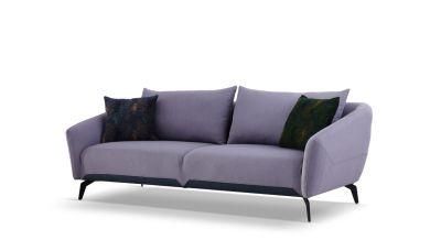 Fashion Fabric Home Furniture for Living Room Loveseat Sofa