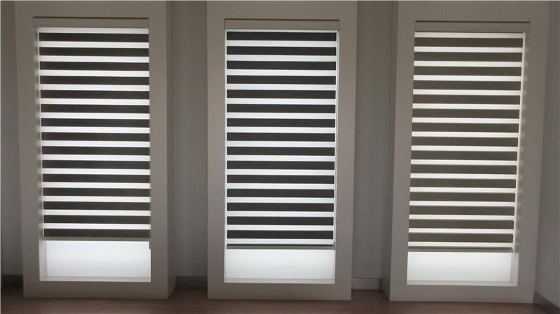 Custom Made Shade Translucent Roller Zebra Blinds