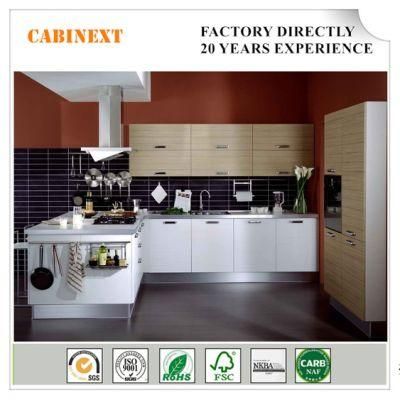High Gross Lacquer Finish Kitchen Cabinets with Swing Door Style
