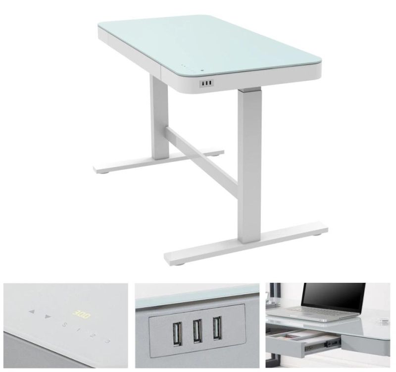 Adjustable Desk with Storage