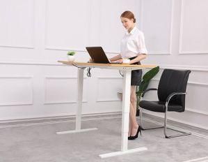 Low Noise Electric Sit and Stand Height Adjustable Desk Steel Base Office Desk Office Furniture (BGLD-14)