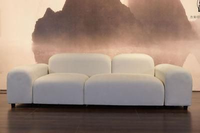 Indoor Casual White Sofa Modern Living Room Home Furniture