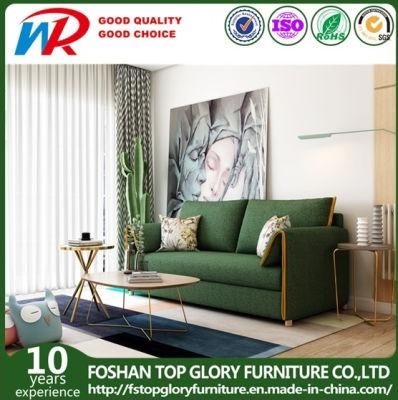 Modern Home Furniture Couch Storage Fabric Sofa Cum Bed