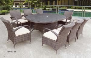 Furniture Outdoor/Wicker Furniture/Rattan Furniture (MYX12-029)