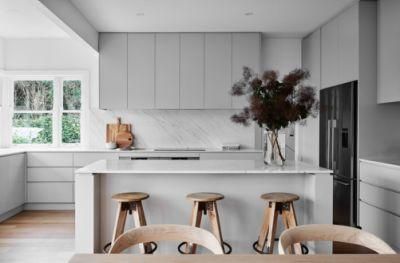 Light Grey Flat Panel Cupboard European Design Custom Furniture Kitchen Cabinets with Island