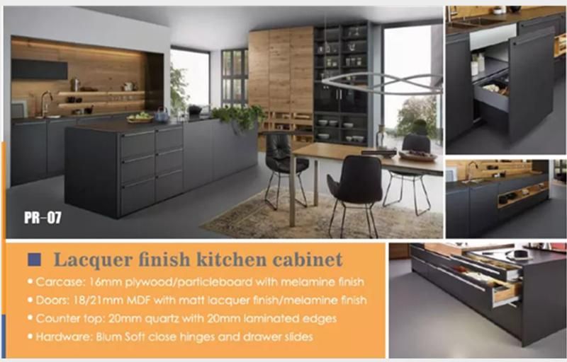 Home Wooden Furniture High Quality Lacquer Finish Kitchen Cabinets