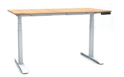 Double Motor Lift Table Modern Office Height Adjustable Desk Furniture