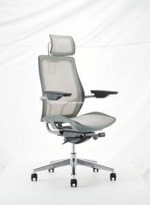 Customized Brand Portable Training Chair with High Back