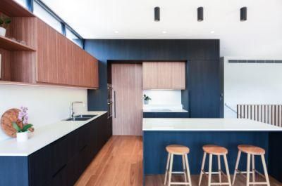 Large Modern Style Cupboard L-Shaped Flat-Panel Dark blue Kitchen Cabinets