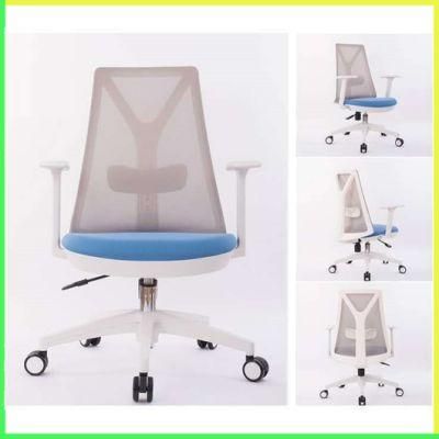 Super China OEM Executive as-B2130wh Office Chair with Lumbar Support