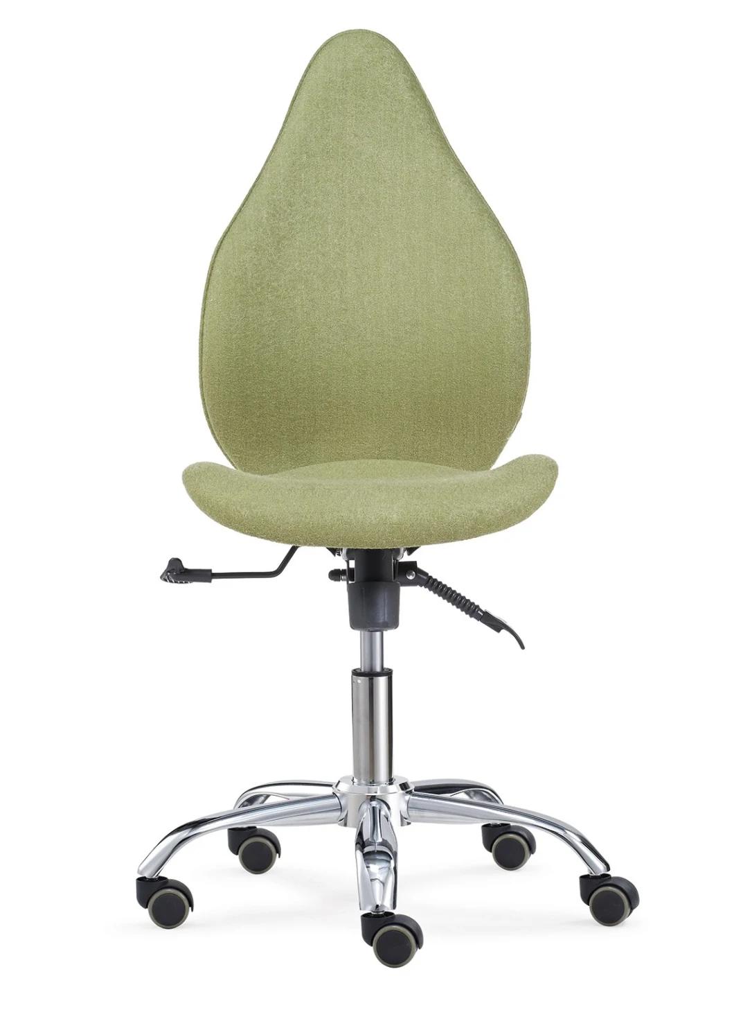 Adjustable Height Green Ergonomic Office Saddle Stool Chair with Backrest