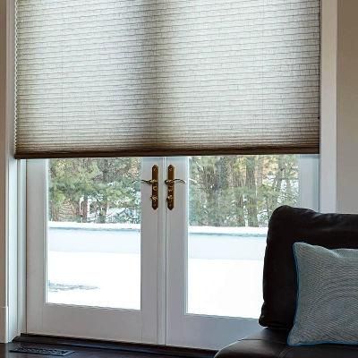 Windows and Garden Custom Cordless Single Cell Shades Honeycomb Blinds