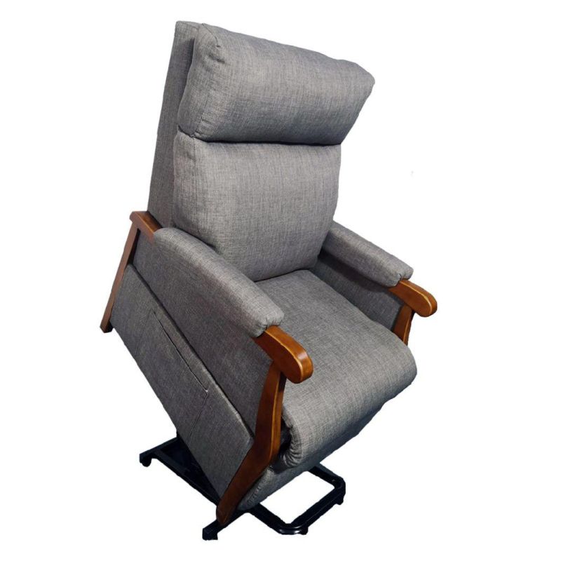 Modern Style Lift Chair with Massage (QT-LC-20)
