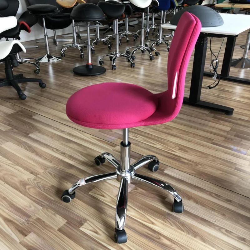 Leisure Elegant Swivel Adjustable Replaceable Office Chair