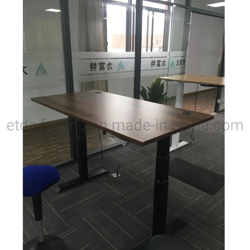 Executive Office Moden Desk Electric Height Adjustable Computer Desk