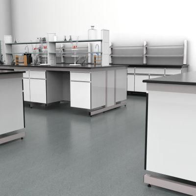 High Quality Hot Sell Hospital Steel Laboratory Furniture with Cover, Cheap Factory Prices School Steel School Lab Bench/