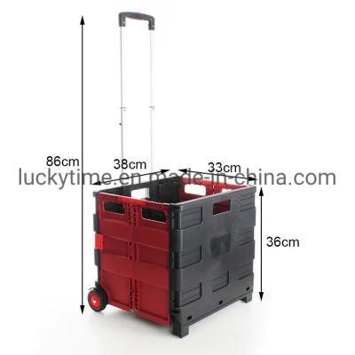 Medium Folding Shopping Cart with Slip Buckles