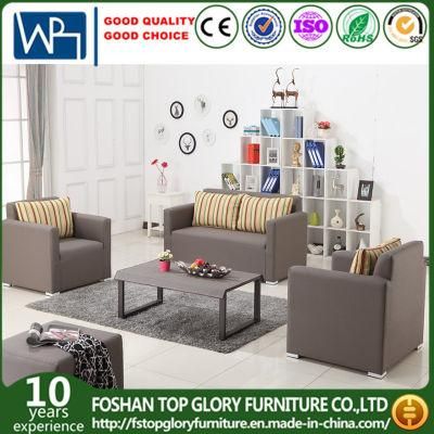 Modern Home Livingroom Furniture Leisure Textilene Fabric Sofa (TG-6101)