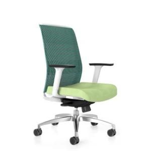 Practical and Portable Ergonomic Furniture Office Chairs with Armrest