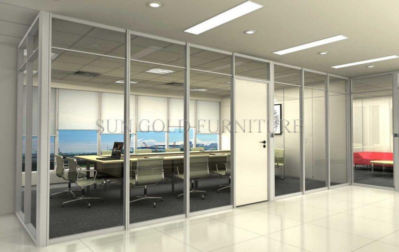 Modern Office Exterior Aluminum Wall Panel Partition Interior Door (SZ-WST781)
