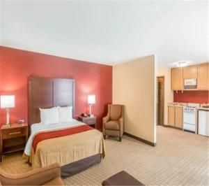 Project Production Hotel Furniture Outlet for Comfort Inn