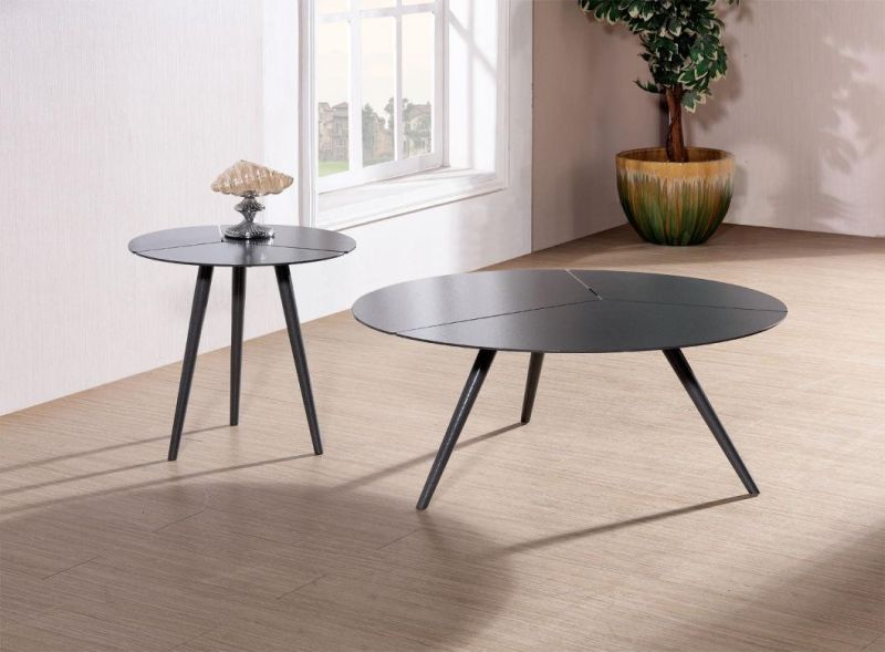 Mini Coffee Table Home Furniture with Metal Frame and Black Marble