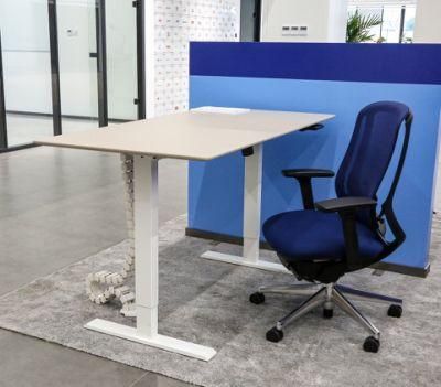 Elites Motors Electric Adjustable Standing Desks Modern Height Adjustable Desk Frame Sit Stand Desk Luxury Office Furniture